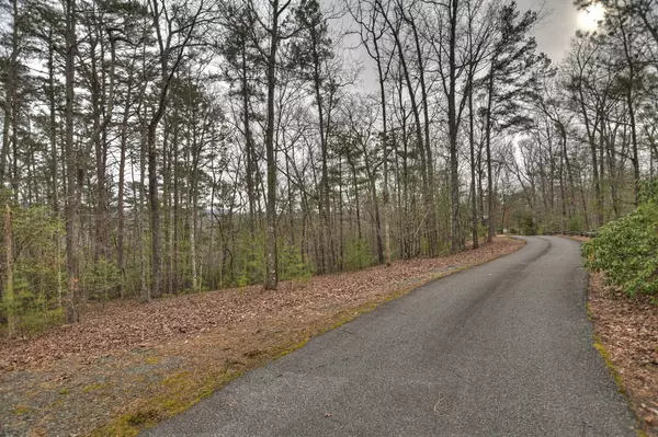 Blue Ridge, GA 30513,2.56 ac Trackside Lane