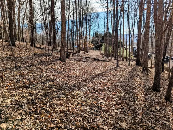 TBD Irish Mountain Rd, Allisonia, VA 24347