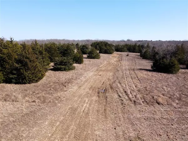 Paris, TX 75460,83 ac Stillhouse Road