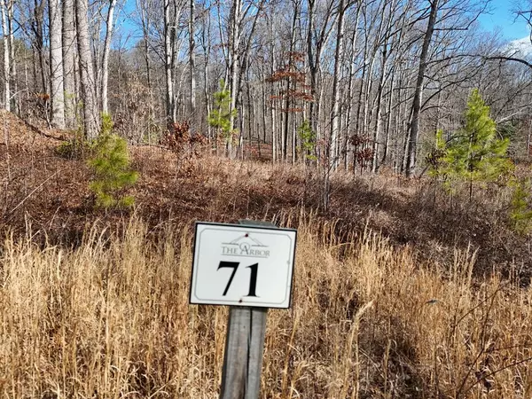 Lot 71 Arbor Lane, Blairsville, GA 30512