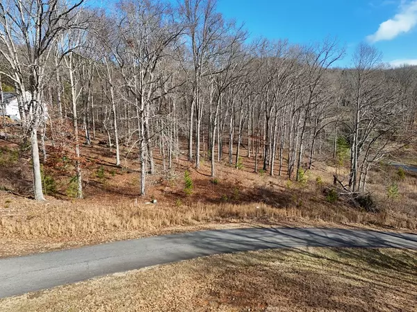 Blairsville, GA 30512,Lot 71 Arbor Lane