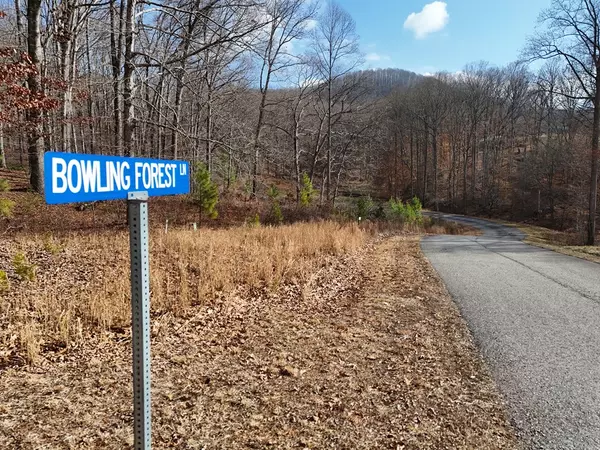 Blairsville, GA 30512,Lot 71 Arbor Lane