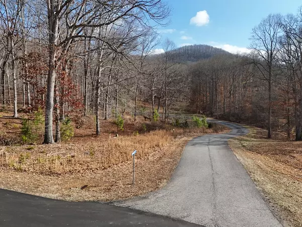 Blairsville, GA 30512,Lot 71 Arbor Lane