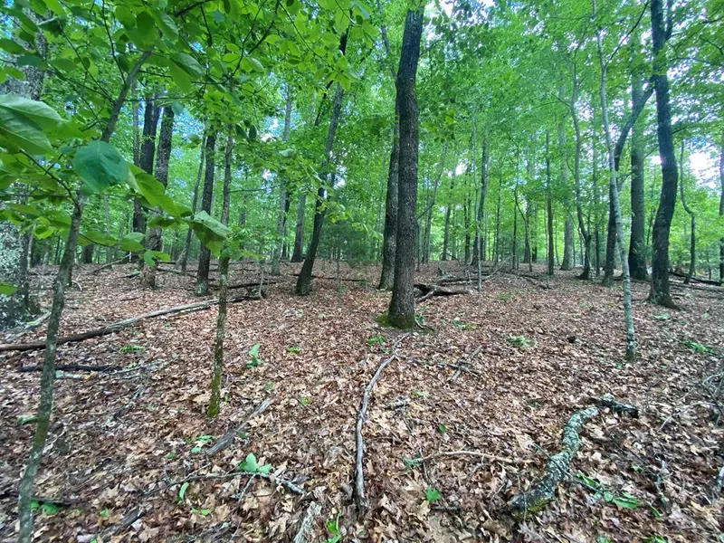 Lot 5 Mount Pleasant Ridge Road, Blairsville, GA 30512