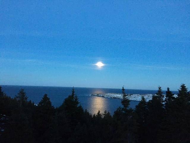 Flatrock, NL A1K 0M6,2 Wildberry Ridge