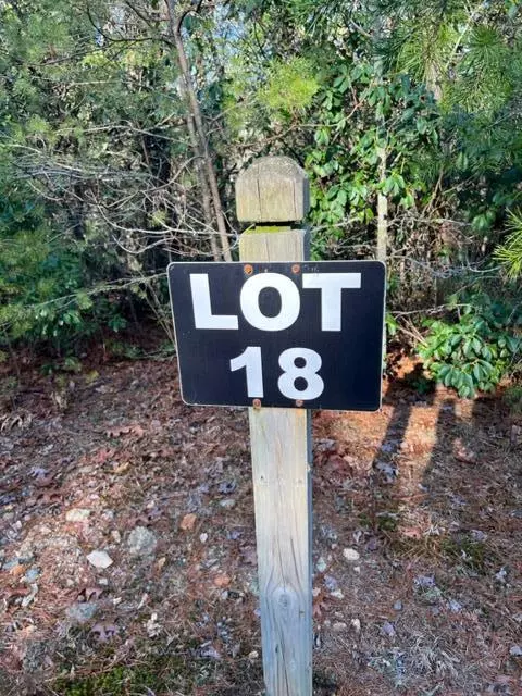 Lot 18 Frances Drive, Ellijay, GA 30536