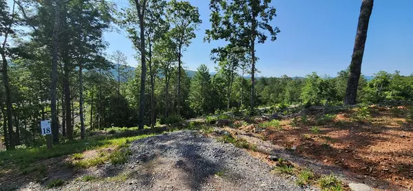 Mineral Bluff, GA 30559,LOT 18 Mountain Laurel Ridge