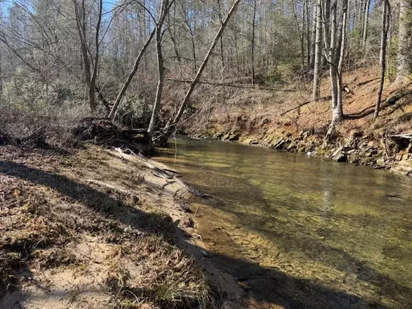 Suches, GA 30572,Lot 5 Double Creek Drive