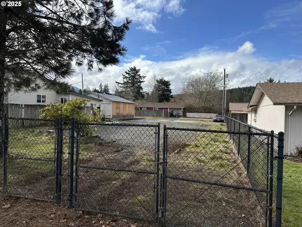 505 MORSE ST, Ryderwood, WA 98581
