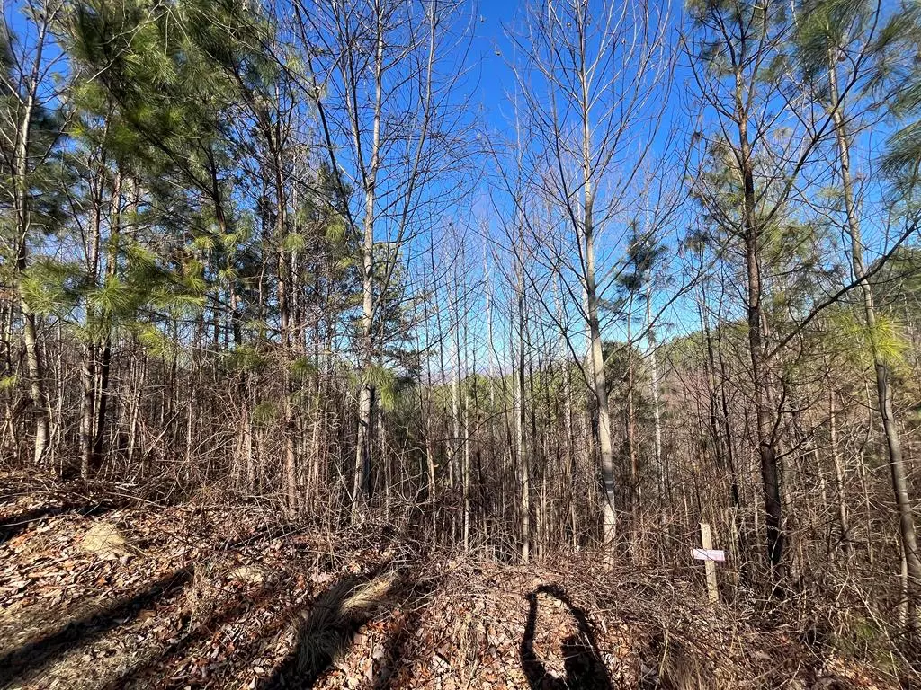 Blairsville, GA 30512,Lot 83 Ridge Peak View