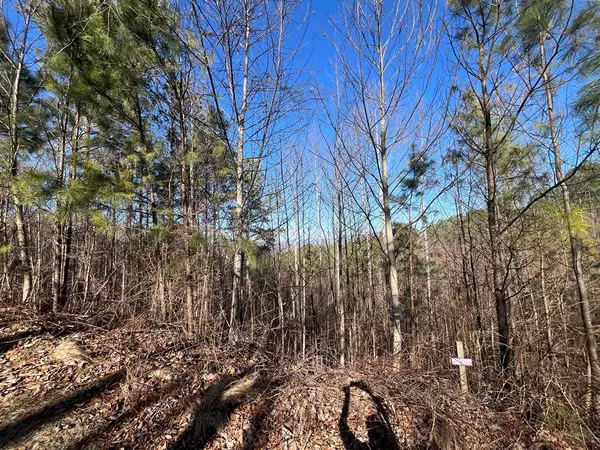 Lot 83 Ridge Peak View, Blairsville, GA 30512