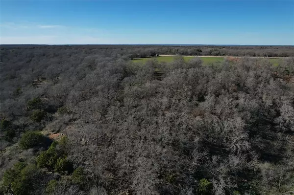 Mingus, TX 76463,TBD Comanche Moon Drive