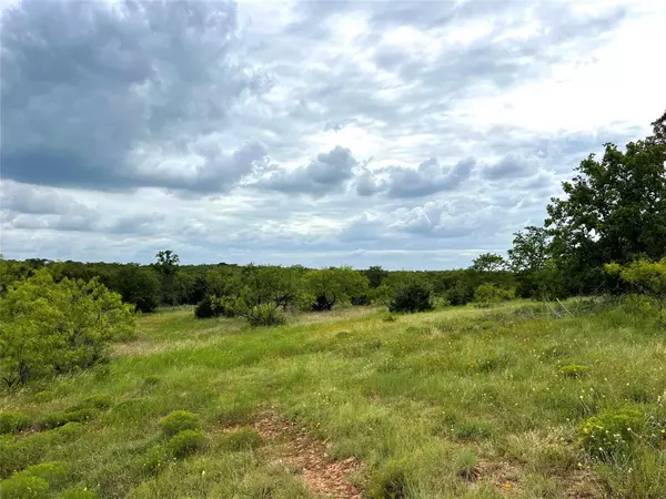 Mingus, TX 76463,Tbd White Wolf Court