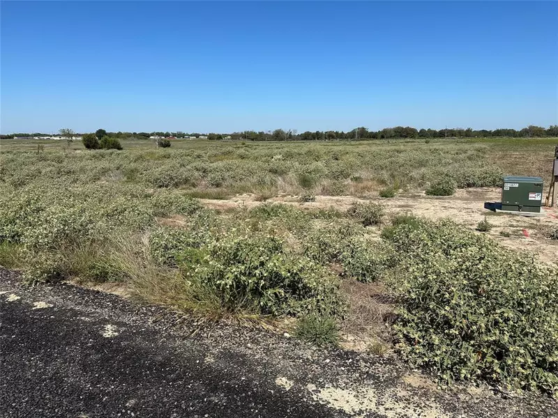 Lot 12 Willow Road, Celeste, TX 75423