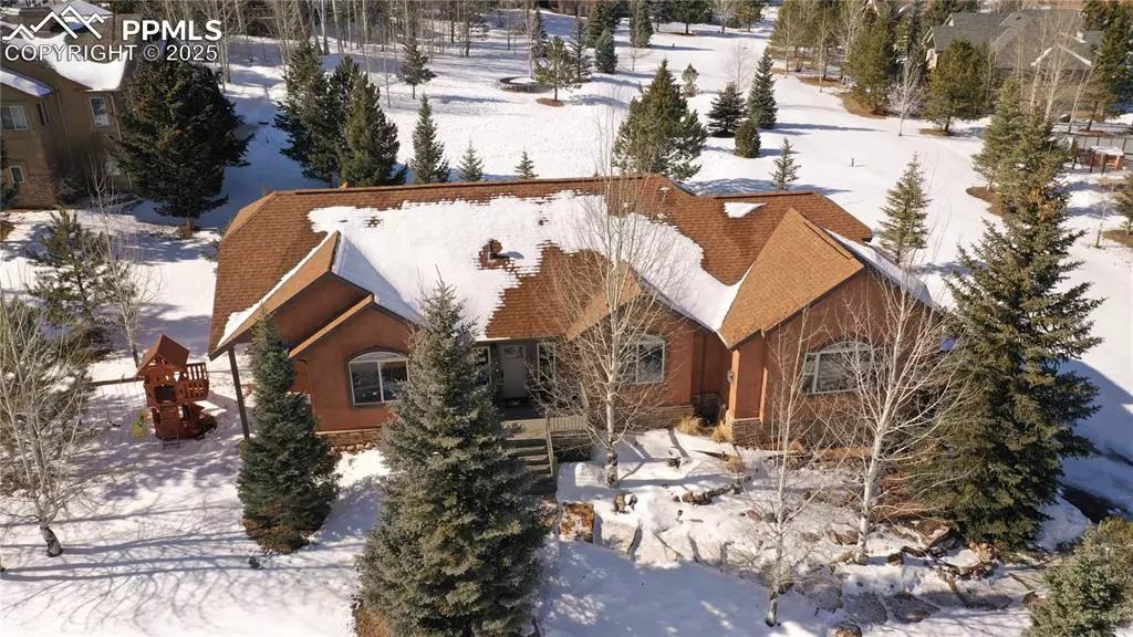 Woodland Park, CO 80863,1121 Windflower LN