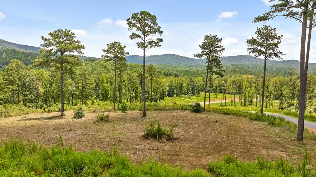 Talking Rock, GA 30175,Lot 206 Oak Park Drive