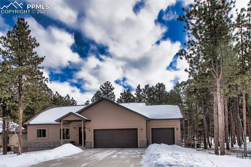 Woodland Park, CO 80863,1323 Firestone DR