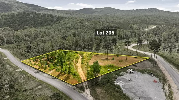 Talking Rock, GA 30175,Lot 206 Oak Park Drive