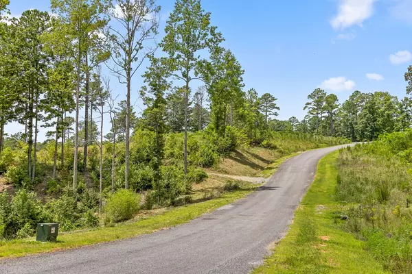 Talking Rock, GA 30175,Lot 206 Oak Park Drive