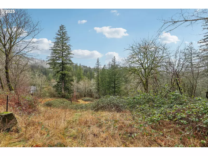 205 NE 353RD AVE, Washougal, WA 98671