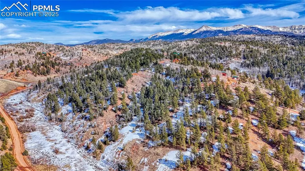 626 Little Topsey DR, Cripple Creek, CO 80813