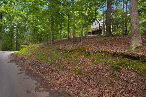 Ellijay, GA 30540,71 Zeblin Road