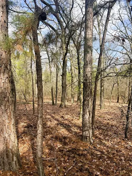 000 Private Road 8000, Winnsboro, TX 75494