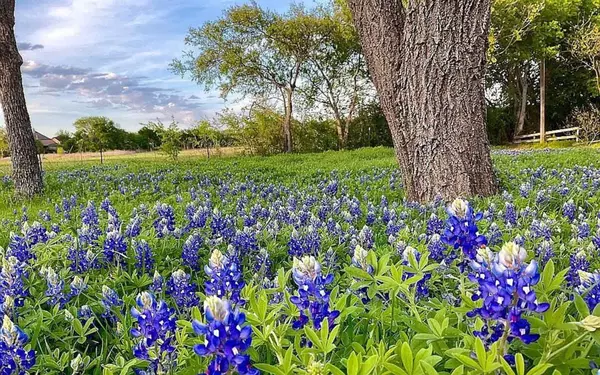 Keller, TX 76248,616 Norma Lane