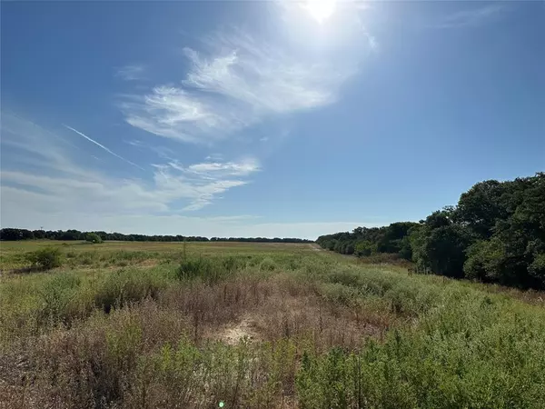 Cross Plains, TX 76443,0000 Private Road 4145