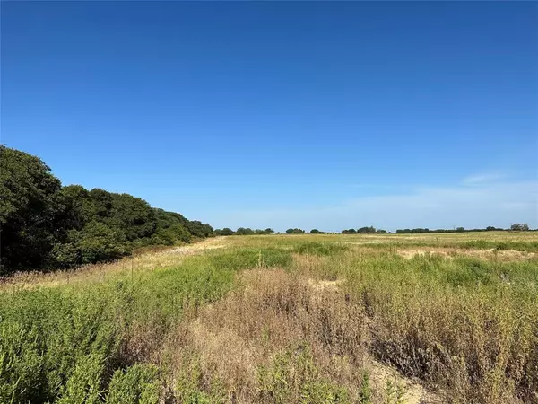 Cross Plains, TX 76443,0000 Private Road 4145