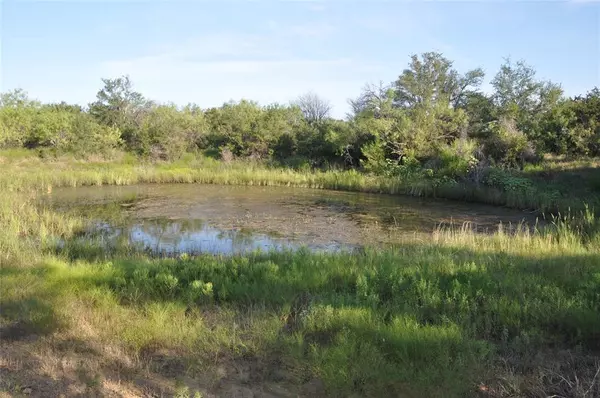 Gordon, TX 76453,TBD County Road 125