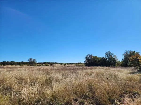 Cross Plains, TX 76443,18798 County Road 441