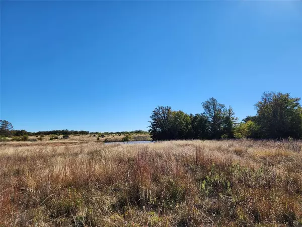 Cross Plains, TX 76443,18798 County Road 441