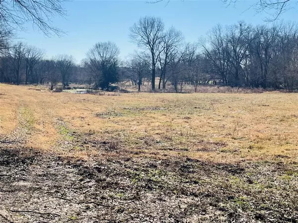 Winnsboro, TX 75494,56 ac CR 2376 County Road 2376 #1