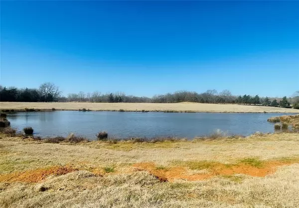 Winnsboro, TX 75494,56 ac CR 2376 County Road 2376 #1