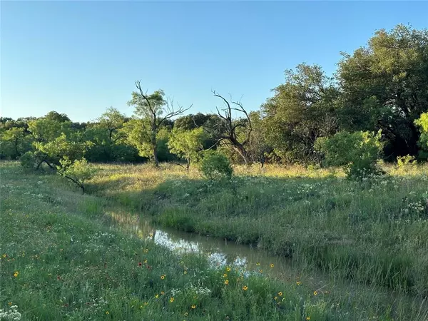 Coleman, TX 76834,25 State Highway 206