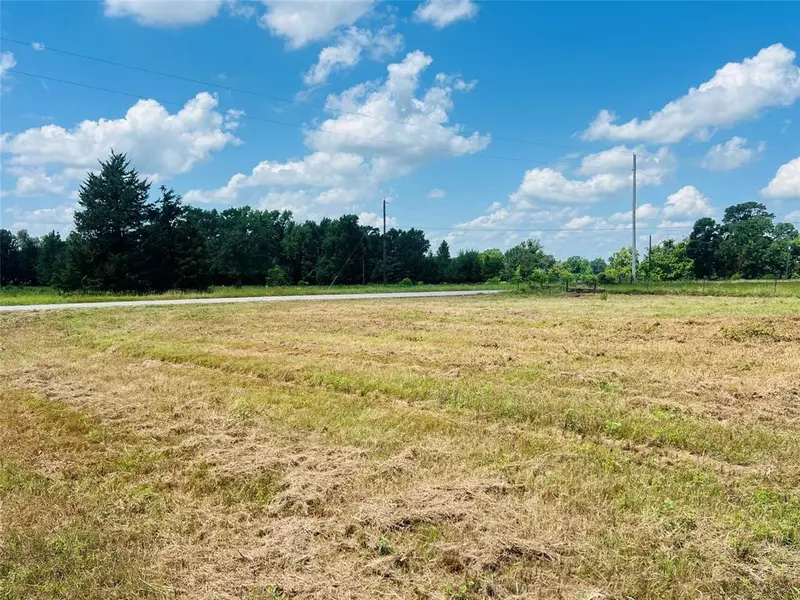 TBD County Road 4800, Winnsboro, TX 75494