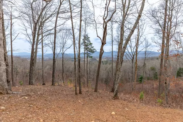 Blairsville, GA 30512,Lot 133 Blackburn Way