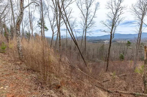 Blairsville, GA 30512,Lot 133 Blackburn Way