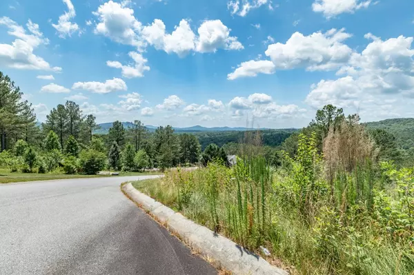 Blairsville, GA 30512,Lot 20 Pinehurst