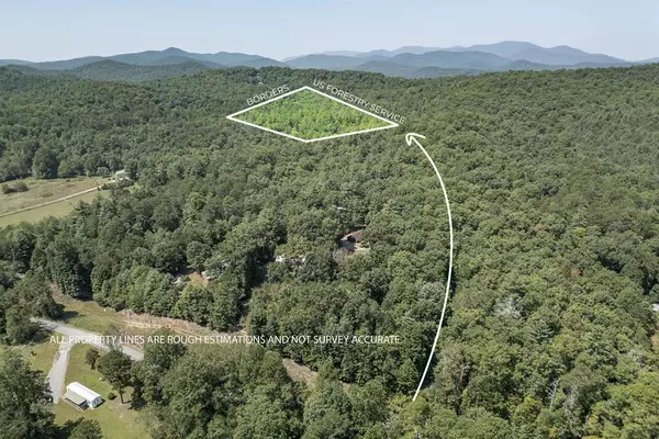 10 Ac Doublehead Gap Road, Blue Ridge, GA 30513