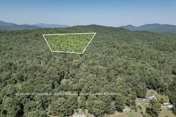 Blue Ridge, GA 30513,10 Ac Doublehead Gap Road