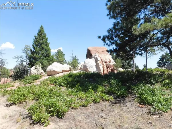 LOT 9 Thunderbird RD, Larkspur, CO 80118