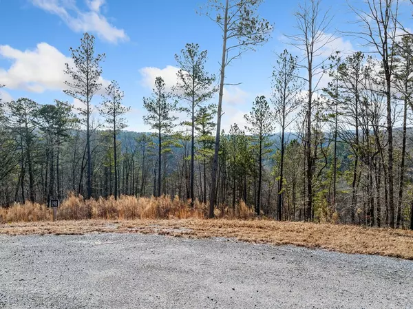 Ellijay, GA 30540,198 Blalock Mountain Court