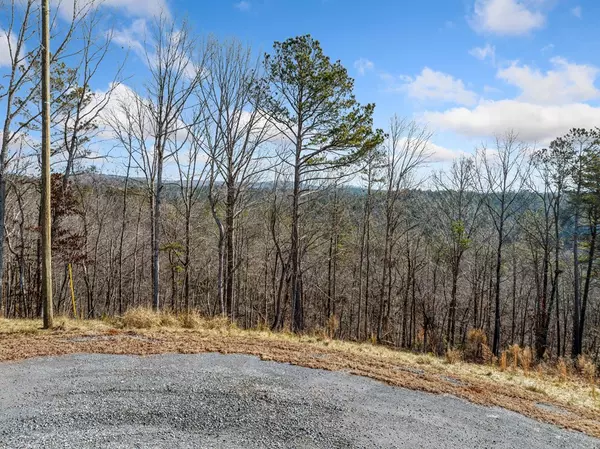 Ellijay, GA 30540,198 Blalock Mountain Court