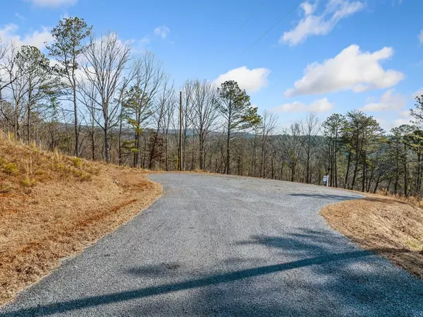 Ellijay, GA 30540,198 Blalock Mountain Court