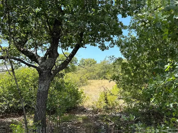 Cisco, TX 76437,Lot 114 Hidden Shores Dr.