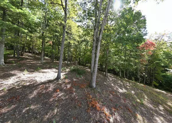 Blairsville, GA 30512,Lot 51 Old Birch Bend Court