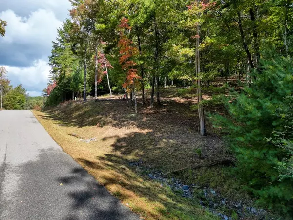 Blairsville, GA 30512,Lot 51 Old Birch Bend Court