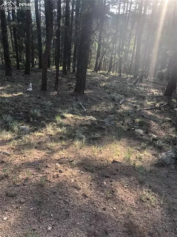 Lake George, CO 80827,469 Echo Lake DR